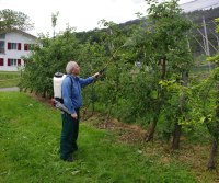 Landwirtschaft News & Agrarwirtschaft News @ Agrar-Center.de (c)Birchmeier_Mit RPD 15 den Schdlingsbefall an Obstbumen behandeln 